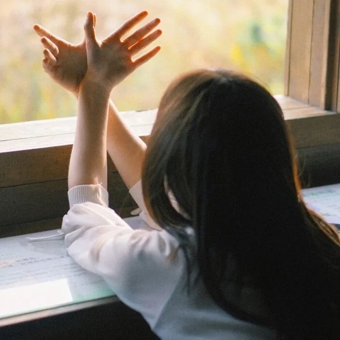 了不起的维克多·赫伯特